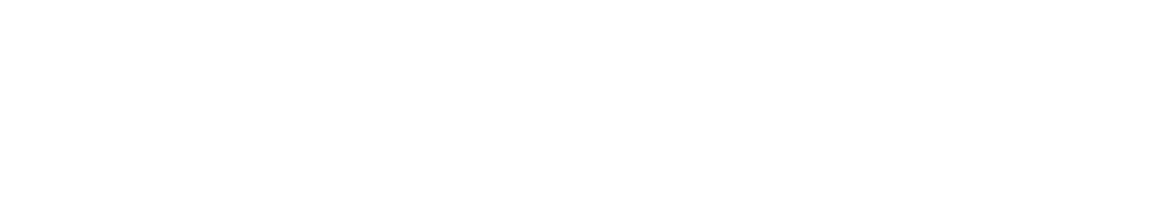 Hawk Academy